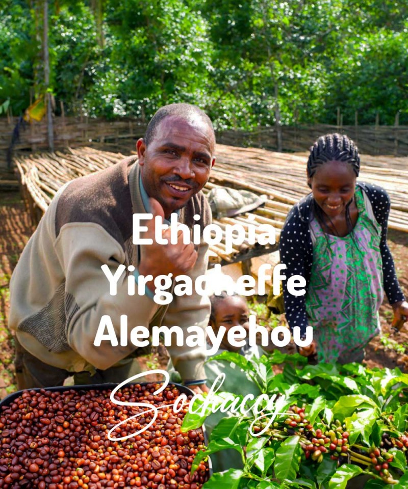 Kawa ziarnista świeżo palona Etiopia Yirgacheffe Alemayehou