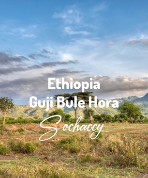 Kawa ziarnista świeżo palona Etiopia Guji Bule Hora