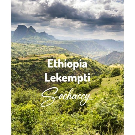 Etiopia Lekempti | Kawa Ziarnista | Świeżo Palona Arabica