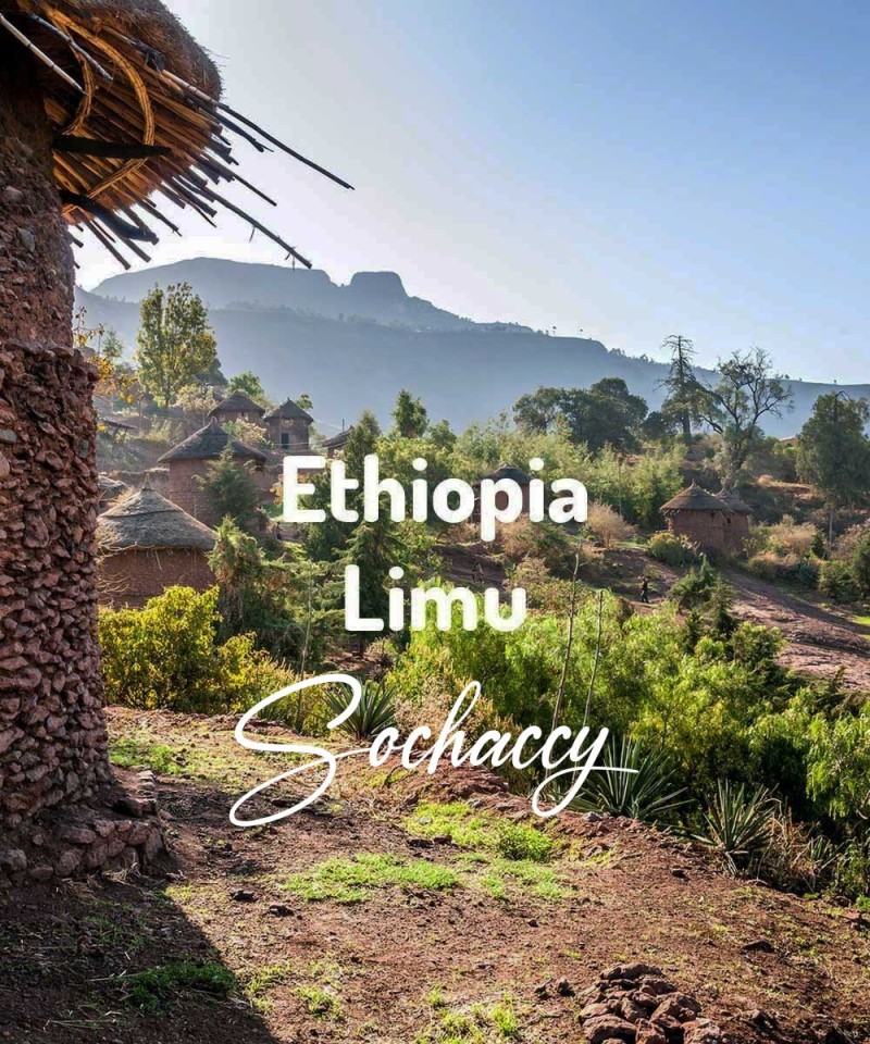 Kawa ziarnista Etiopia Limu Palarnia Kawy Sochaccy