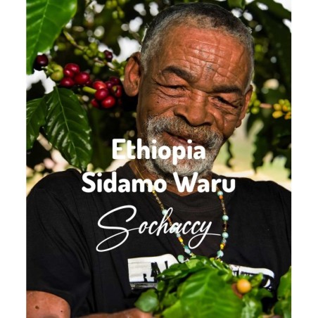 Etiopia Sidamo Waru | Kawa Ziarnista | Świeżo Palona Arabica