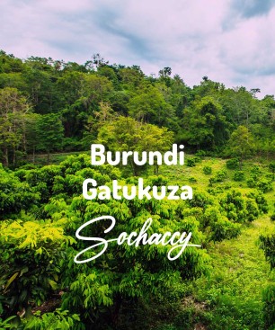 Kawa ziarnista Burundi Gatukuza Rzemieślniczej Palarni Kawy