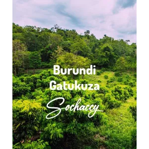Plantacja kawy Burundi Gatukuza — Ngozi, Burundi, świeżo palona Arabica