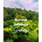 Burundi Gatukuza | Kawa Ziarnista | Świeżo Palona Arabica