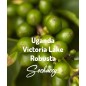 Uganda Victoria Lake | Kawa Ziarnista | Świeżo Palona Robusta