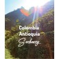 Kolumbia Antioquia | Kawa Ziarnista | Świeżo Palona Arabica