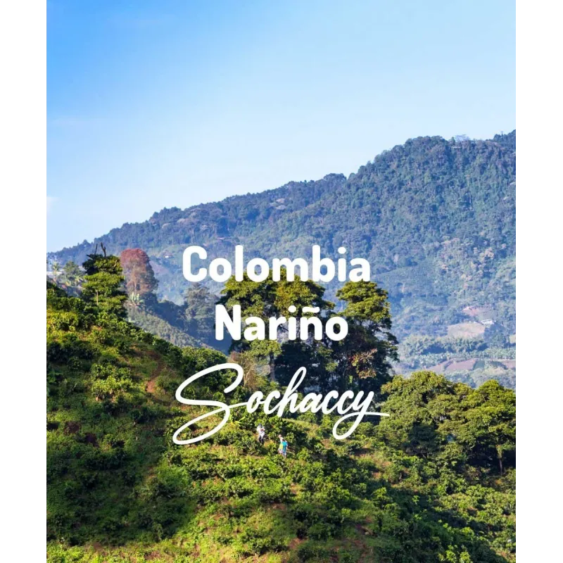 Plantacja kawy Kolumbia Nariño — Nariño, Kolumbia, świeżo palona Arabica