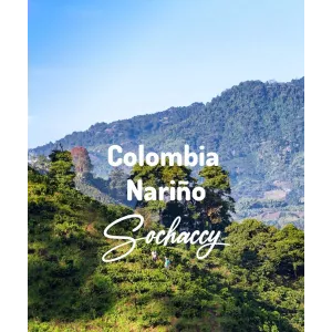 Plantacja kawy Kolumbia Nariño — Nariño, Kolumbia, świeżo palona Arabica