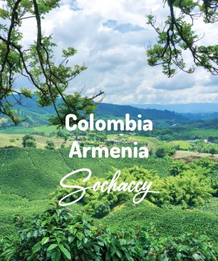 Kolumbia Armenia Kawa Ziarnista Świeżo Palona Arabica