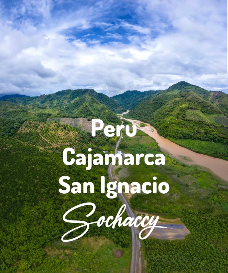 Peru Cajamarca San Ignacio Kawa Ziarnista Świeżo Palona Arabica