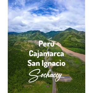 Plantacja kawy Peru Cajamarca San Ignacio — Cajamarca, Peru, świeżo palona Arabica