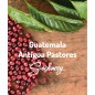 Gwatemala Antigua Pastores | Kawa Ziarnista | Świeżo Palona Arabica