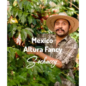Plantacja kawy Meksyk Altura Fancy — Altura Fancy, Meksyk, świeżo palona Arabica