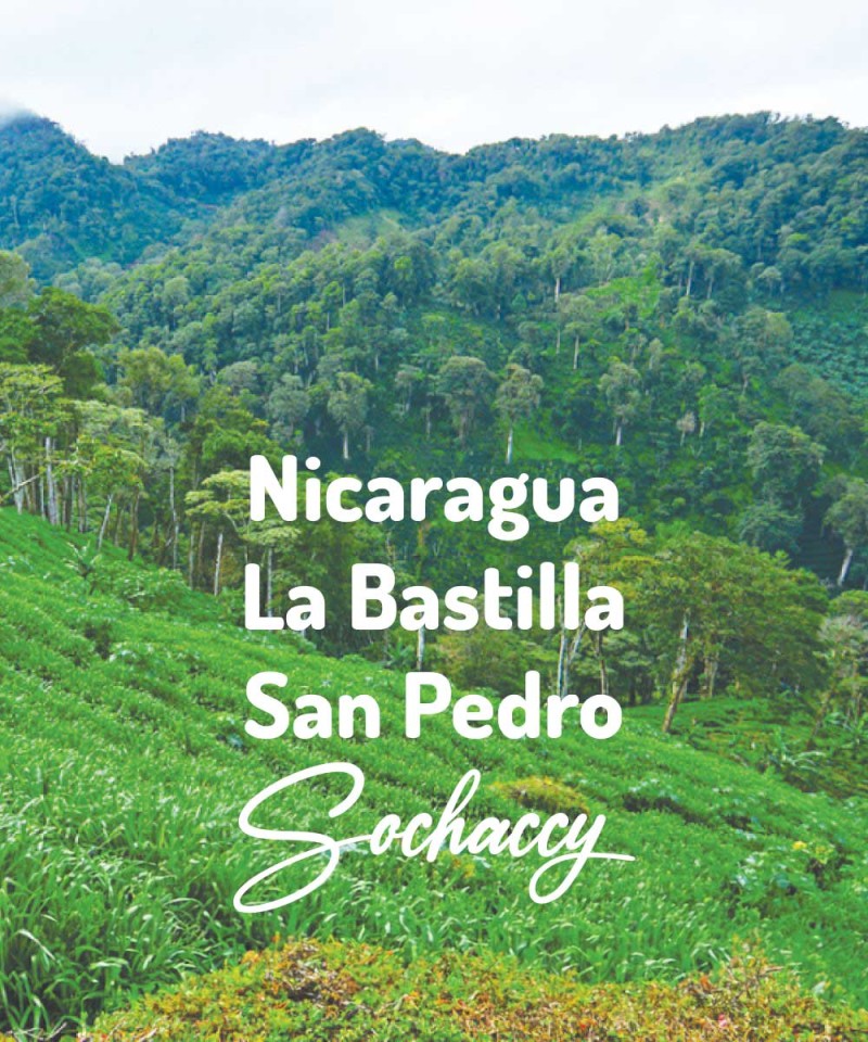 Nikaragua La Bastilla San Pedro  Kawa Ziarnista Świeżo Palona Arabica