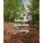 Salwador El Guamo | Kawa Ziarnista | Świeżo Palona Arabica