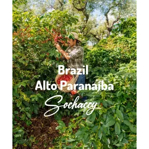 Plantacja kawy Brazylia Alto Paranaíba — Cerrado, Brazylia, świeżo palona Arabica