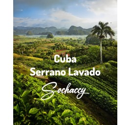 Kawa Kuba Serrano Lavado | Kawa Ziarnista | Świeżo Palona Arabica| SwiezoWypalana.pl |Kuba
