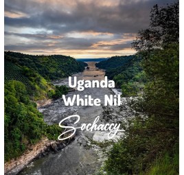 Kawa Uganda White Nil | Kawa Ziarnista | Świeżo Palona Arabica| SwiezoWypalana.pl |Uganda