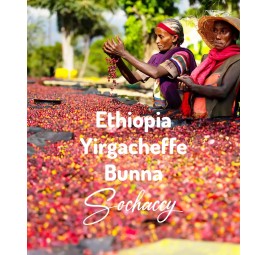 Kawa Etiopia Yirgacheffe Bunna | Kawa Ziarnista | Świeżo Palona Arabica| SwiezoWypalana.pl |Region Yirgacheffe