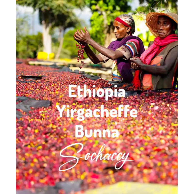 Kawa Etiopia Yirgacheffe Bunna | Kawa Ziarnista | Świeżo Palona Arabica| SwiezoWypalana.pl |Region Yirgacheffe