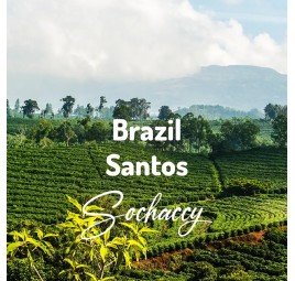 Kawa Brazylia Santos Sochaccy | Kawa Ziarnista | Świeżo Palona Arabica| SwiezoWypalana.pl |Brazylia