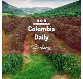 Kawa Kolumbia Daily Kawa Ziarnista Świeżo Palona Arabica