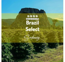 Kawa Brazylia Select | Kawa Ziarnista | Świeżo Palona Arabica| SwiezoWypalana.pl |Brazylia