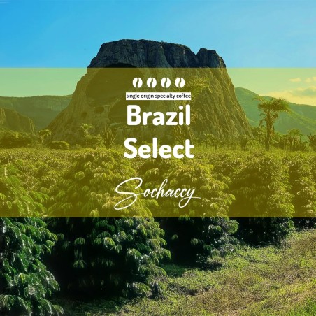 Brazylia Select | Kawa Ziarnista | Świeżo Palona Arabica