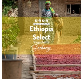 Etiopia Select Yirgacheffe Palarnia Kawy Sochaccy Kawa Ziarnista