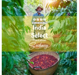 Kawa Indie Select Plantation Palarnia Kawy Sochaccy Kawa Ziarnista