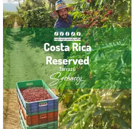 Kostaryka Reserved Tarrazú | Palarnia Kawy Sochaccy | Kawa Ziarnista