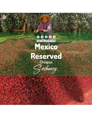 Plantacja kawy Meksyk Reserved Chiapas — Chiapas, Meksyk, świeżo palona Arabica