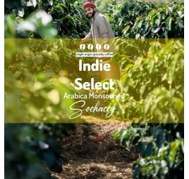 Indie Select Arabica Monsooned Palarnia Kawy Sochaccy Kawa Ziarnista