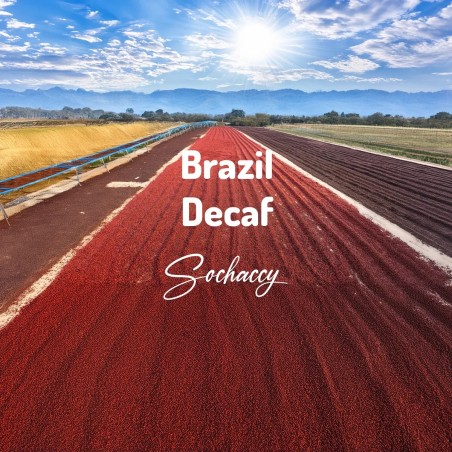 Brazylia Decaf | Palarnia Kawy Sochaccy | Kawa Ziarnista