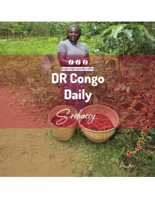 Plantacja kawy Kongo Daily — Virunga, DR Kongo, uprawa 1 953 m.n.p.m., świeżo palona Arabica