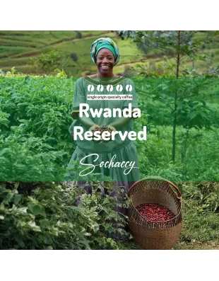 Plantacja kawy Rwanda Reserved — Prowincja Zachodnia, Rwanda, świeżo palona Arabica