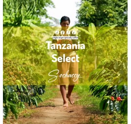 Tanzania Select Palarnia Kawy Sochaccy Kawa Ziarnista