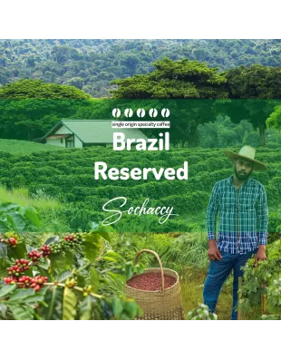 Brazylia|ŚwieżoWypalana.pl