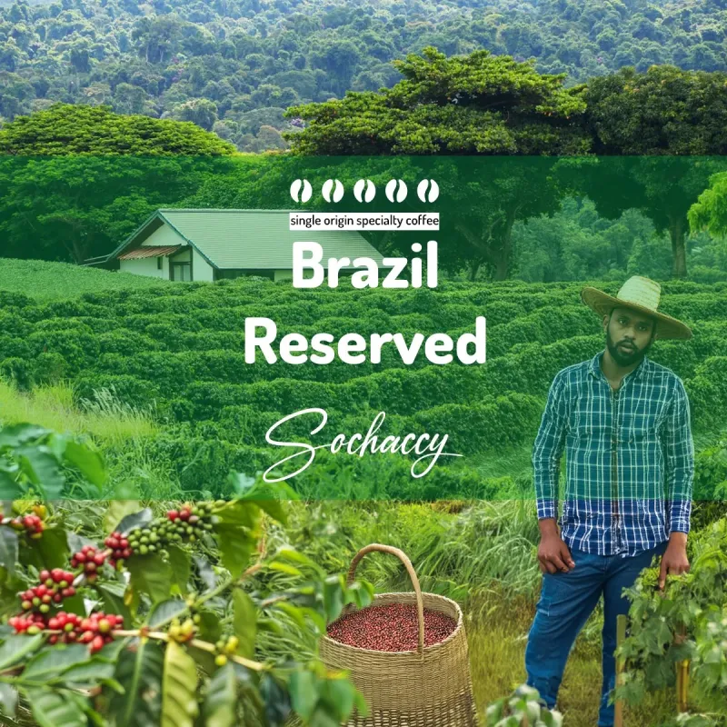 Plantacja kawy Brazylia Reserved — Cerrado, Brazylia, świeżo palona Arabica