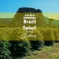 Brazylia Select Santos | Kawa Ziarnista | Świeżo Palona Arabica