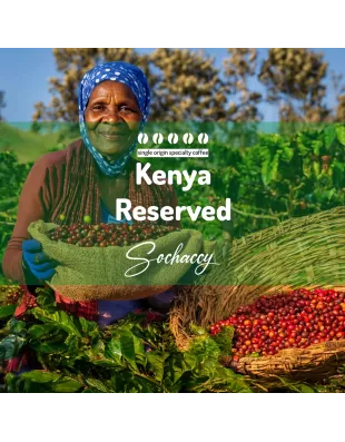 Plantacja kawy Kenia Reserved — Nyeri/Kirinyaga, Kenia, świeżo palona Arabica