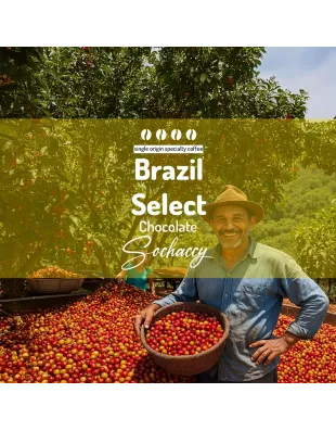 Plantacja kawy Brazylia Select Chocolate — Cerrado, Brazylia, świeżo palona Arabica