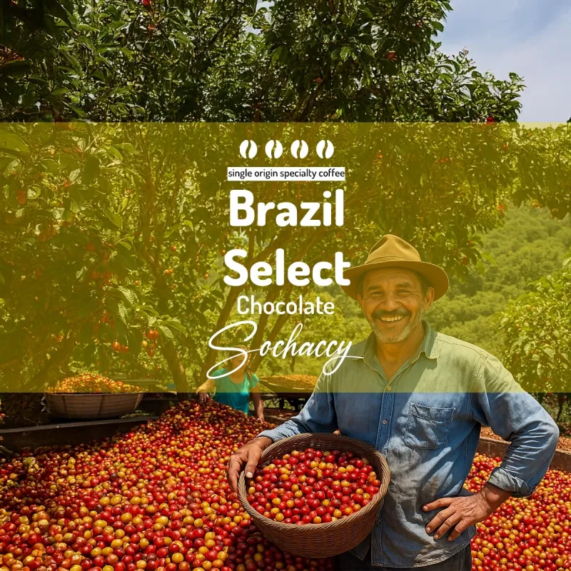 Plantacja kawy Brazylia Select Chocolate — Cerrado, Brazylia, świeżo palona Arabica