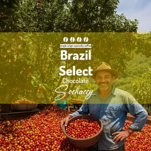 Plantacja kawy Brazylia Select Chocolate — Cerrado, Brazylia, świeżo palona Arabica