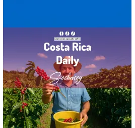 Kostaryka Daily | Kawa Ziarnista | Świeżo Palona Arabica