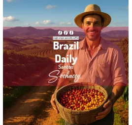 Brazylia Daily Santos | Kawa Ziarnista | Świeżo Palona Arabica