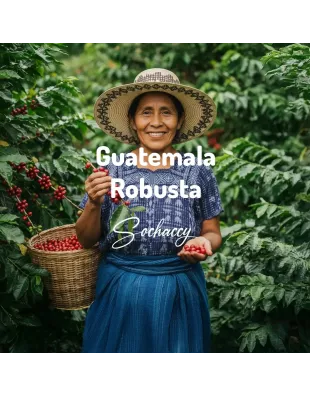 Gwatemala|ŚwieżoWypalana.pl