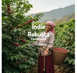 Indie Parchment | Kawa Ziarnista | Świeżo Palona Robusta