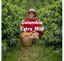Kolumbia Extra Mild | Kawa Ziarnista | Świeżo Palona Arabica