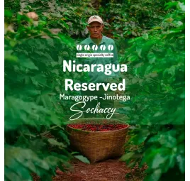 Nikaragua Reserved Jinotega-Maragogype | Kawa Ziarnista | Świeżo Palona Arabica